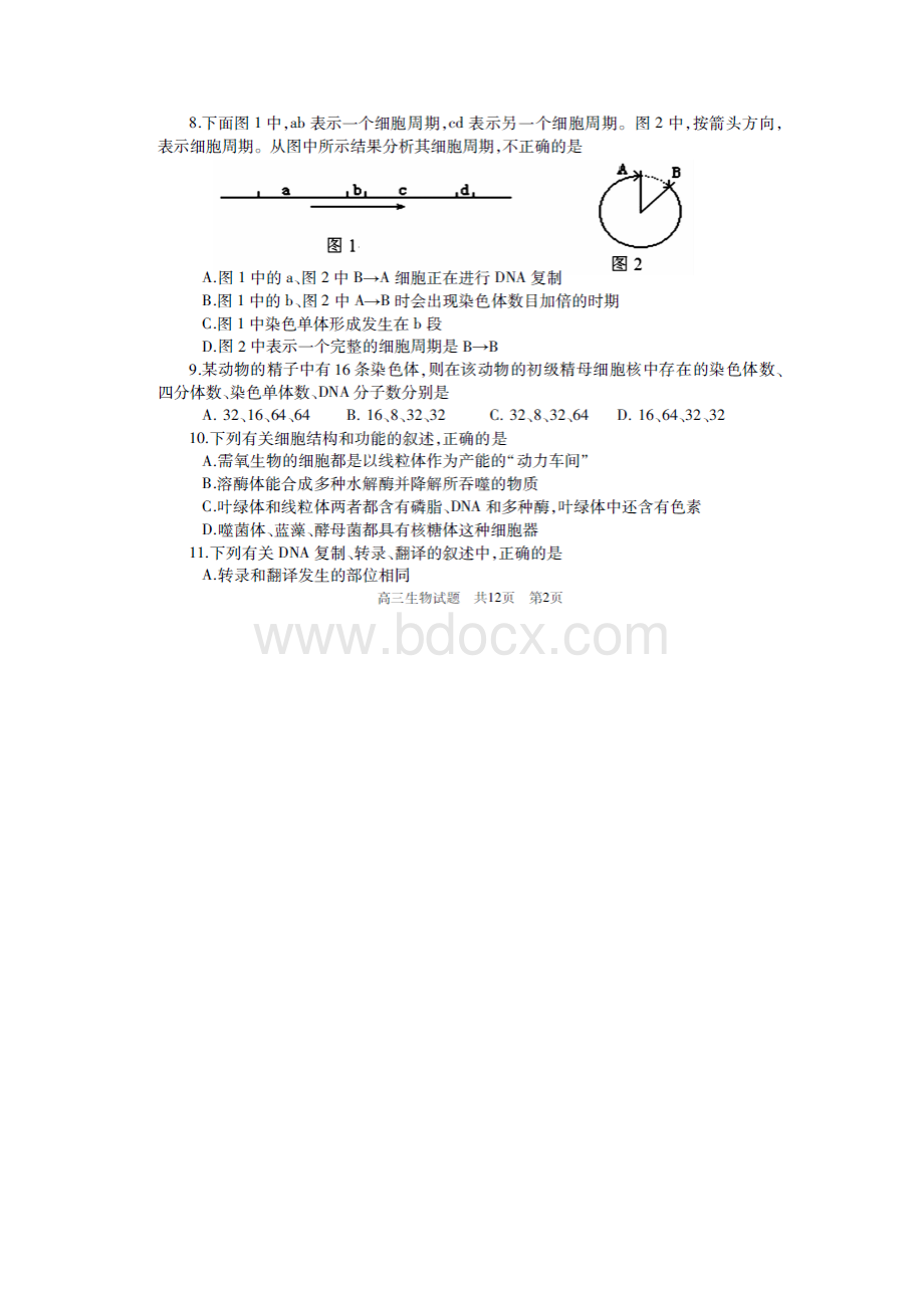 山东省滕州市届高三上学期定时练习生物试题 扫描版含答案Word下载.docx_第3页