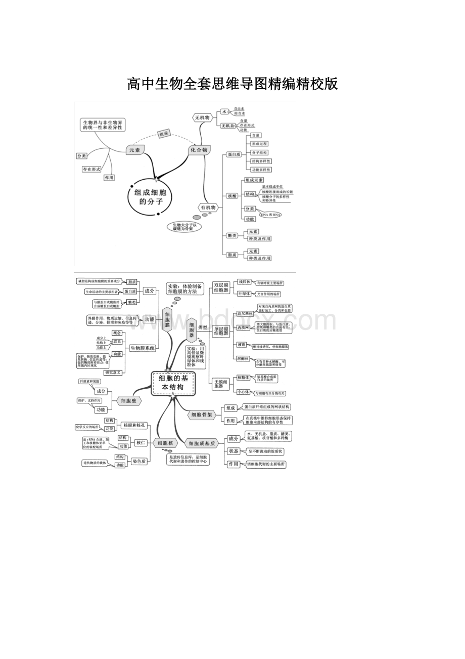 高中生物全套思维导图精编精校版.docx_第1页