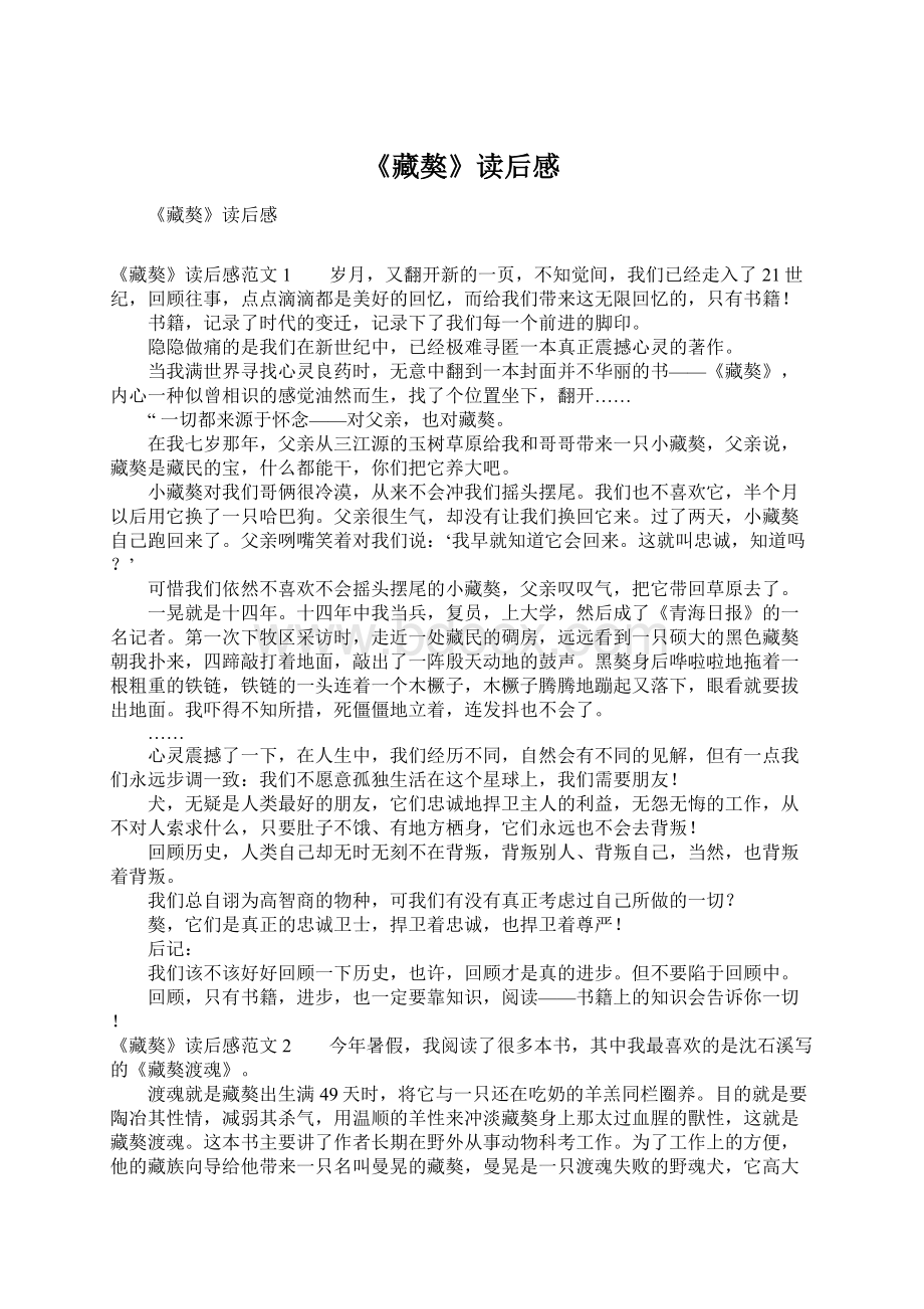 《藏獒》读后感Word格式文档下载.docx