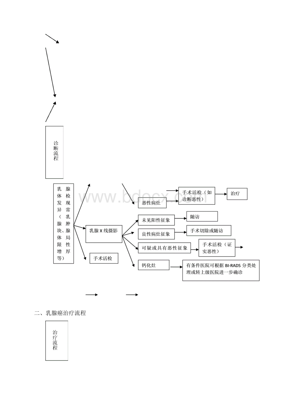 二级医院乳腺癌规范化诊疗指南.docx_第2页