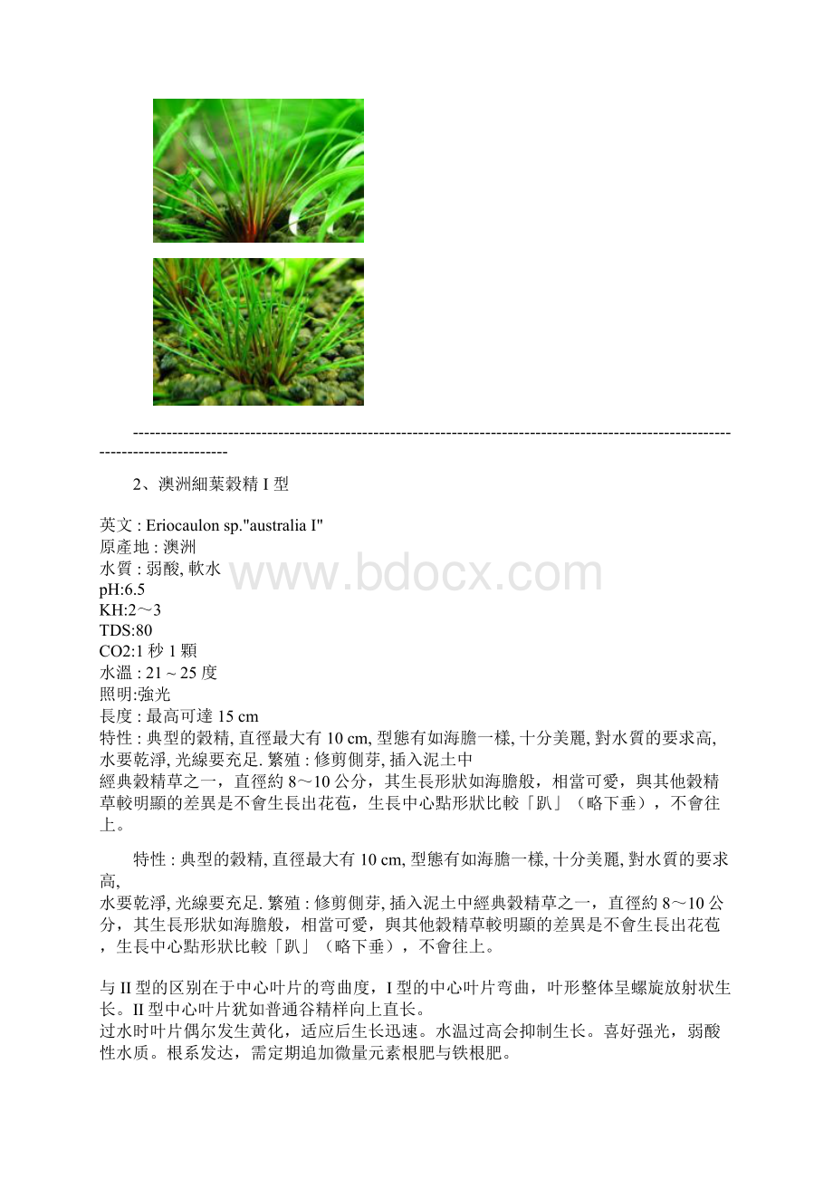 水草谷精鉴赏.docx_第2页