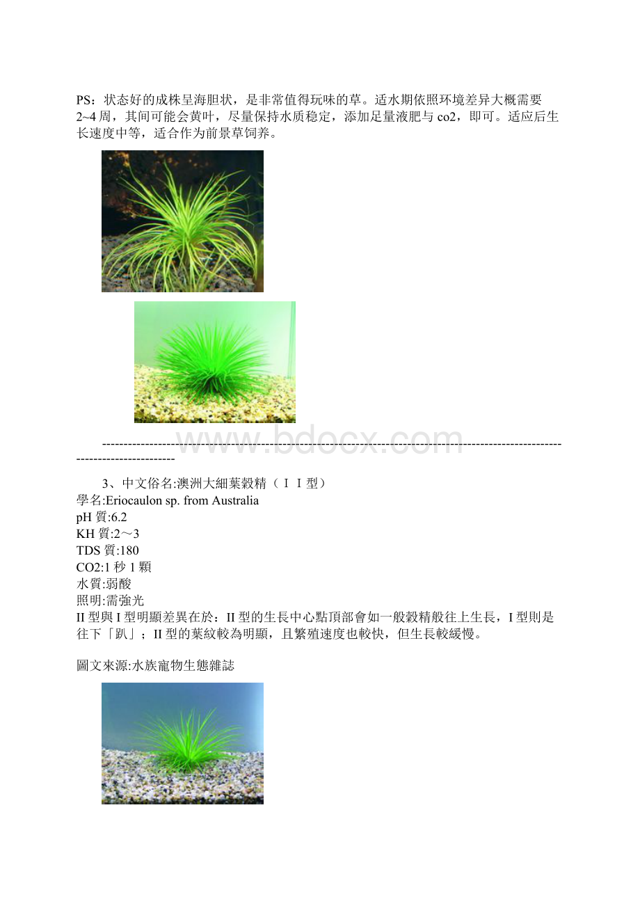 水草谷精鉴赏.docx_第3页