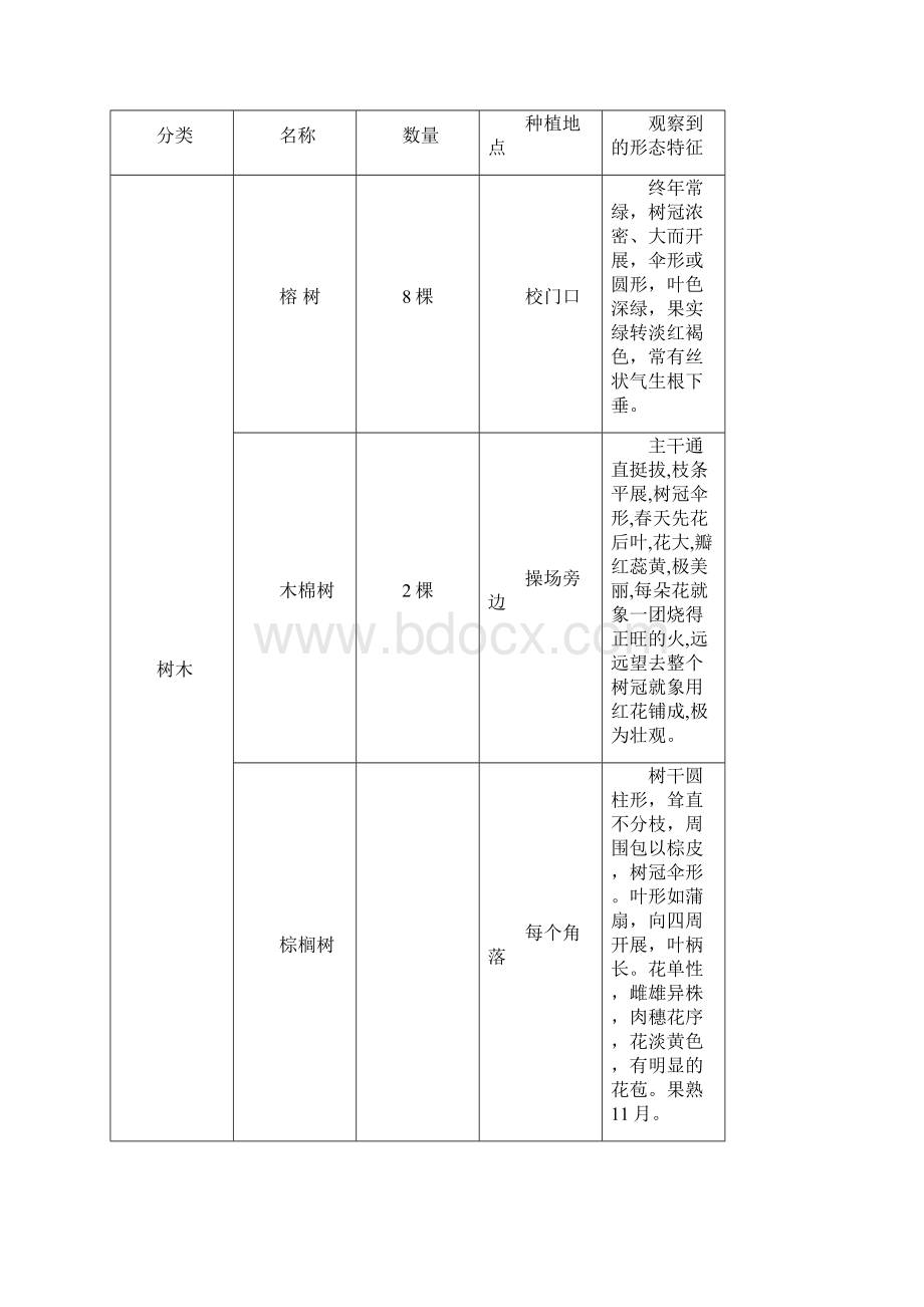 综合实践文档格式.docx_第3页