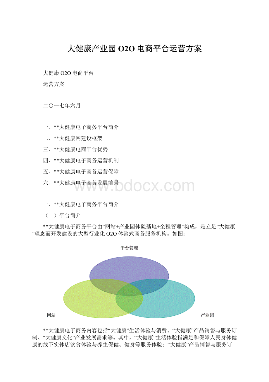 大健康产业园O2O电商平台运营方案.docx