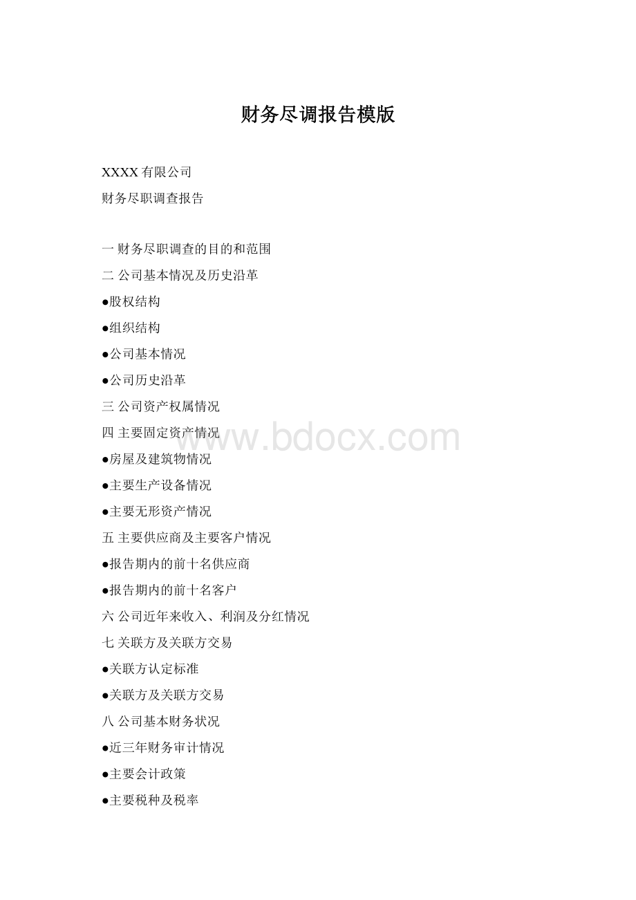 财务尽调报告模版文档格式.docx