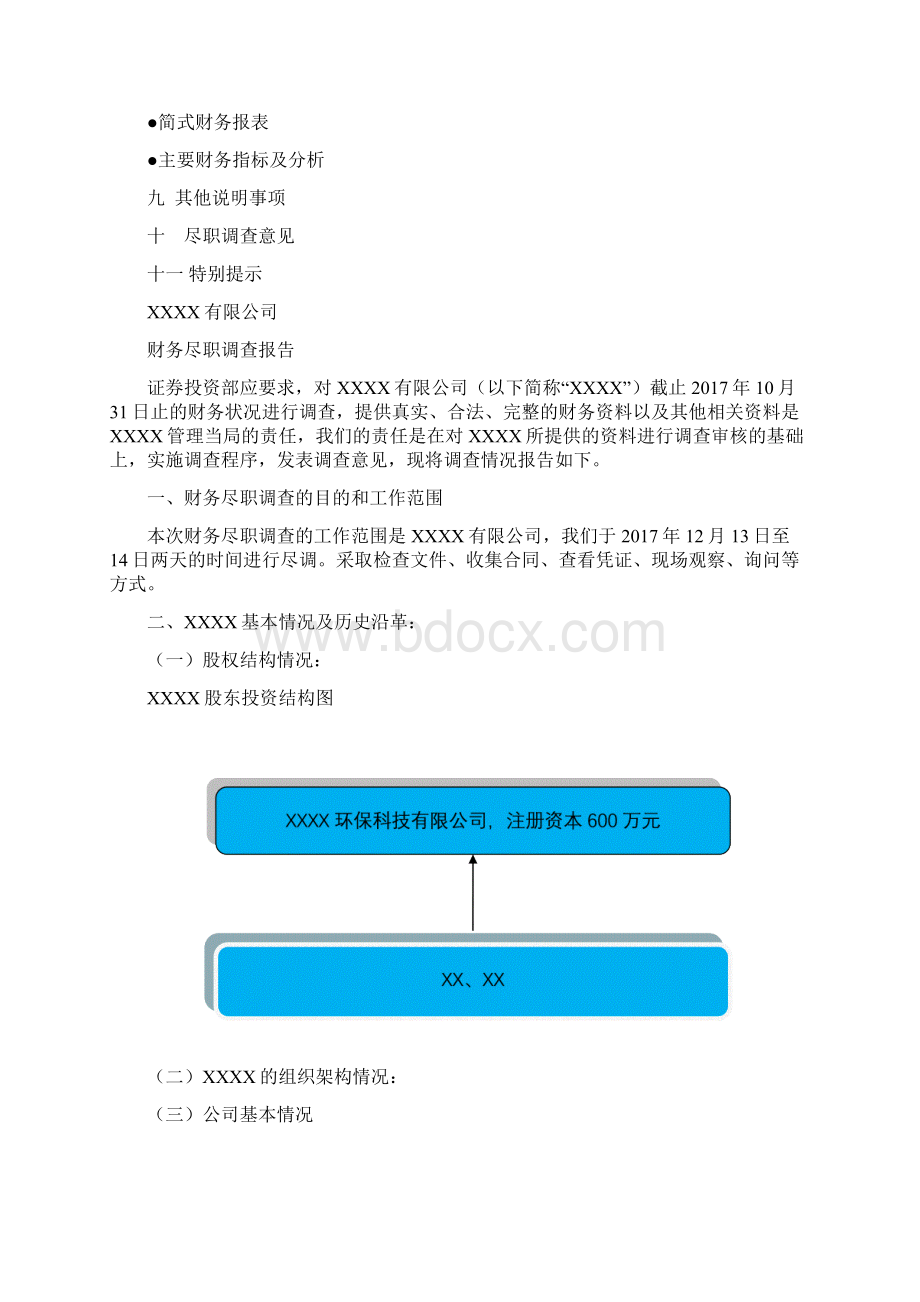 财务尽调报告模版.docx_第2页