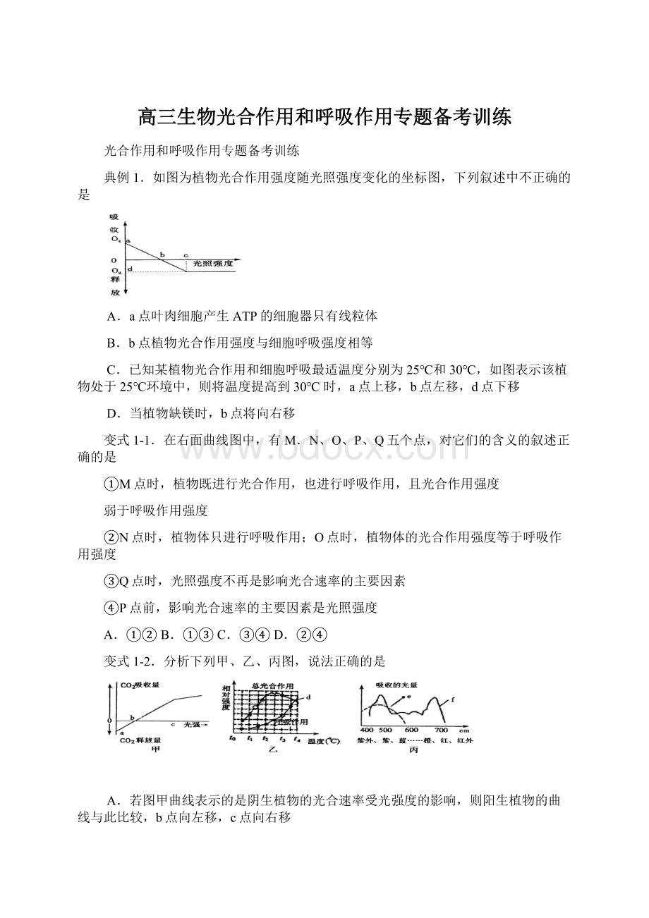 高三生物光合作用和呼吸作用专题备考训练Word格式文档下载.docx