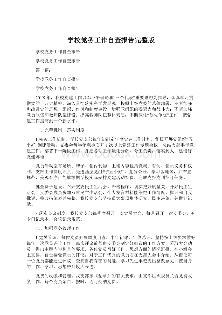 学校党务工作自查报告完整版文档格式.docx