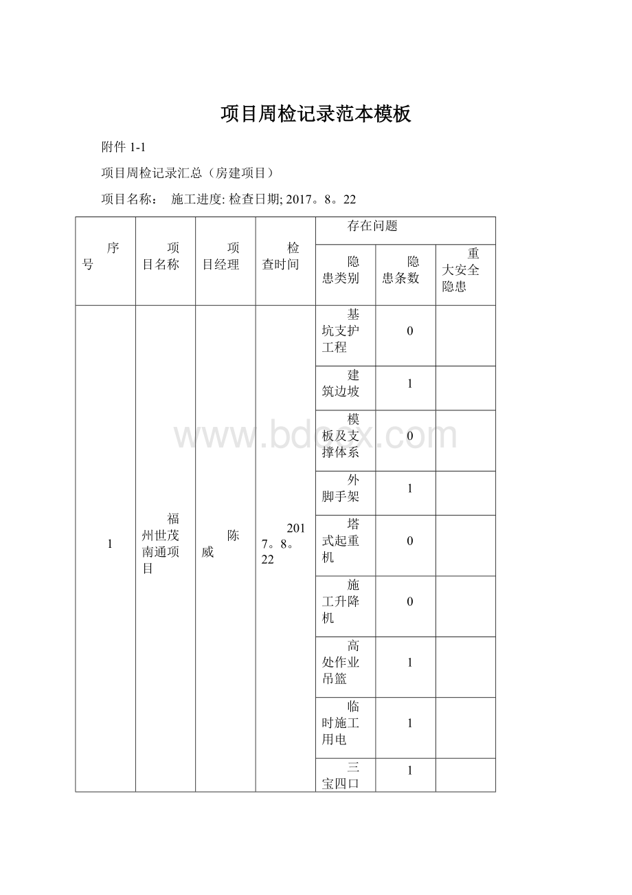 项目周检记录范本模板文档格式.docx