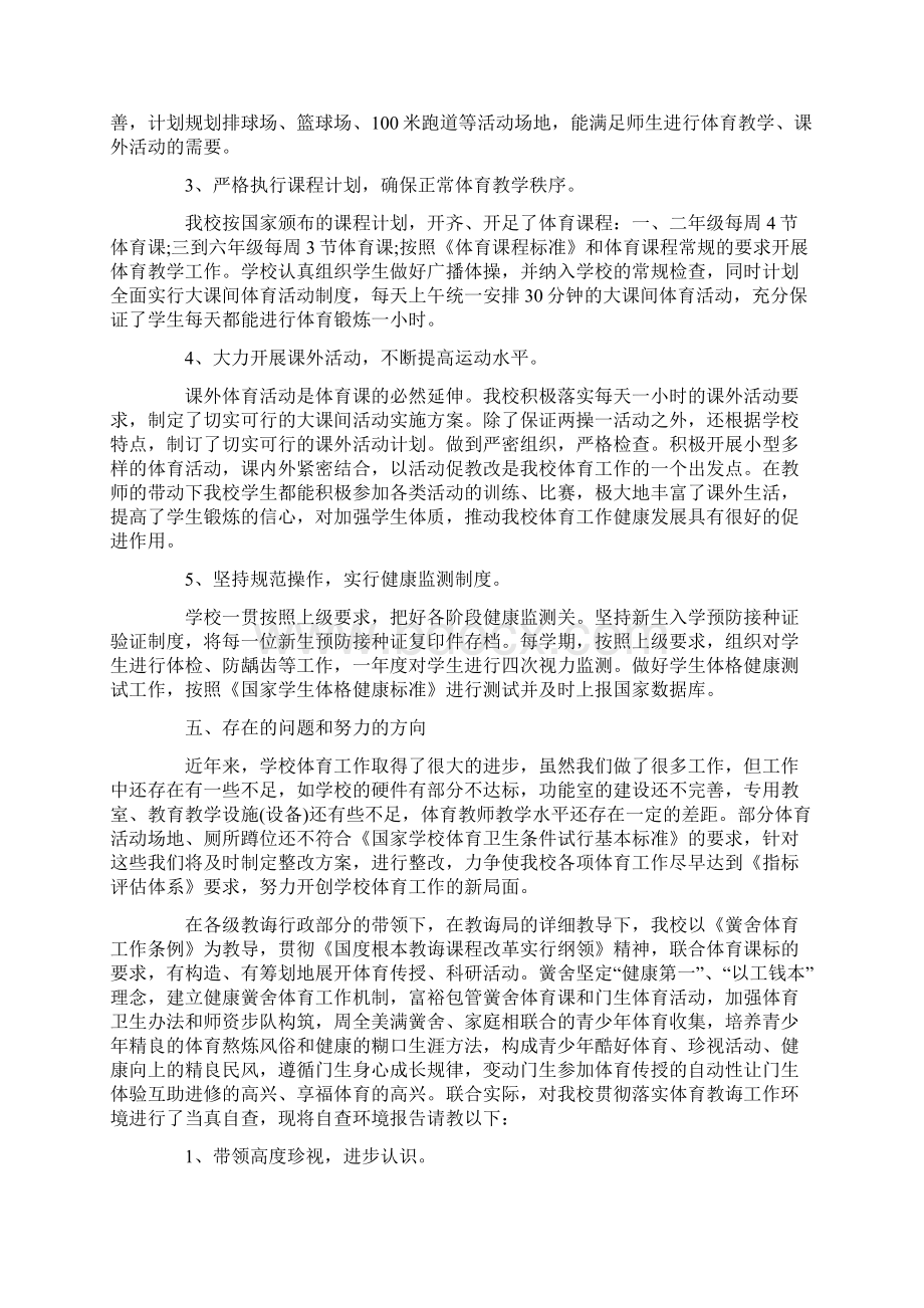 学校体育工作自查报告.docx_第2页