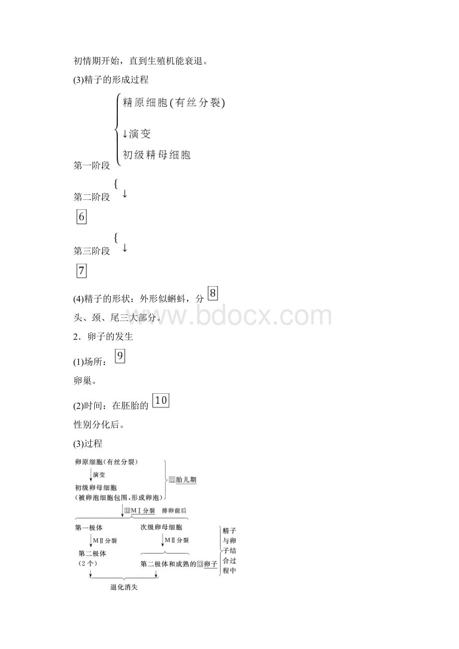 学年人教版选修三 31 体内受精和早期胚胎发育 学案Word格式.docx_第2页