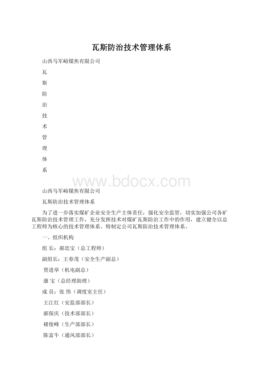 瓦斯防治技术管理体系.docx