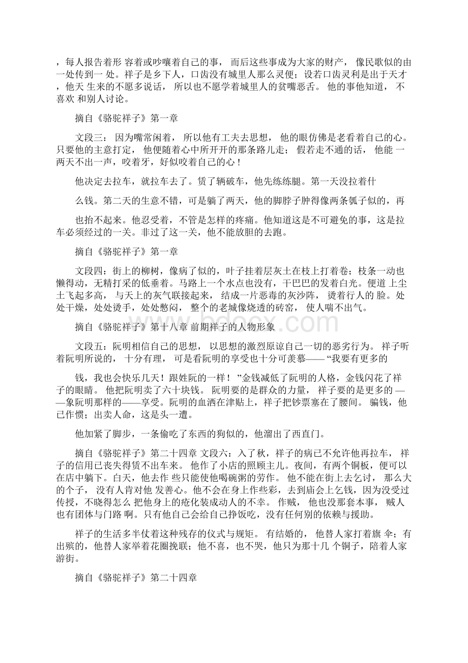 《骆驼祥子》之给祥子写小传学历案.docx_第2页