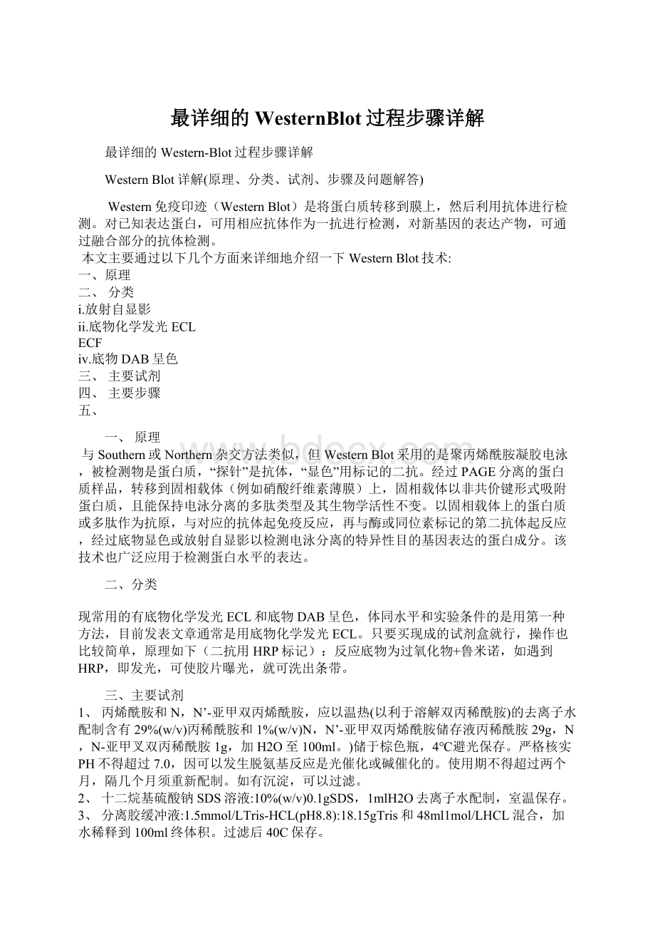 最详细的WesternBlot过程步骤详解Word格式文档下载.docx