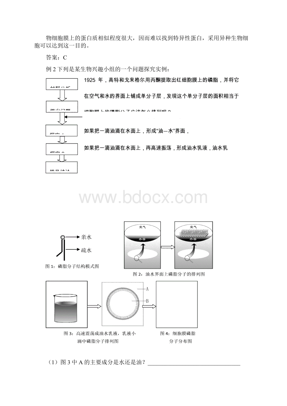 高考生物 考前30天之备战冲刺押题系列Ⅱ 题型解读42经典实验思路分析与应用Word文件下载.docx_第2页