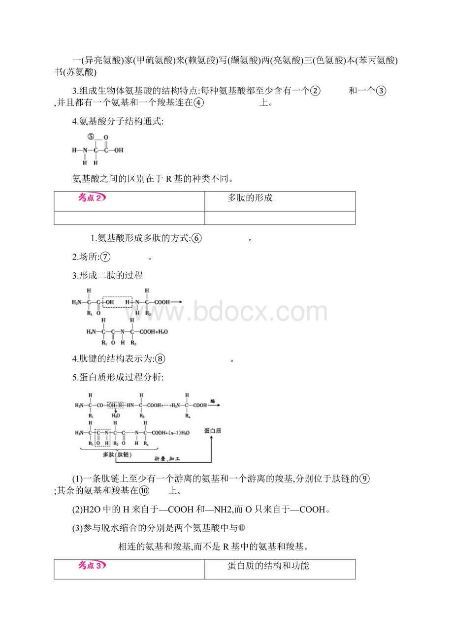 人教版高中生物必修1课时3 生命活动的主要承担者蛋白质教案Word文档下载推荐.docx_第2页