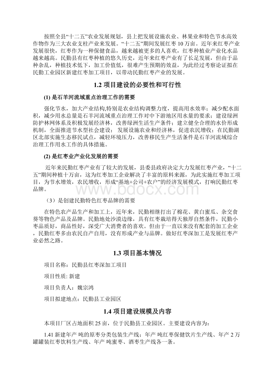 6000吨红枣深加工项目建设可研报告.docx_第2页