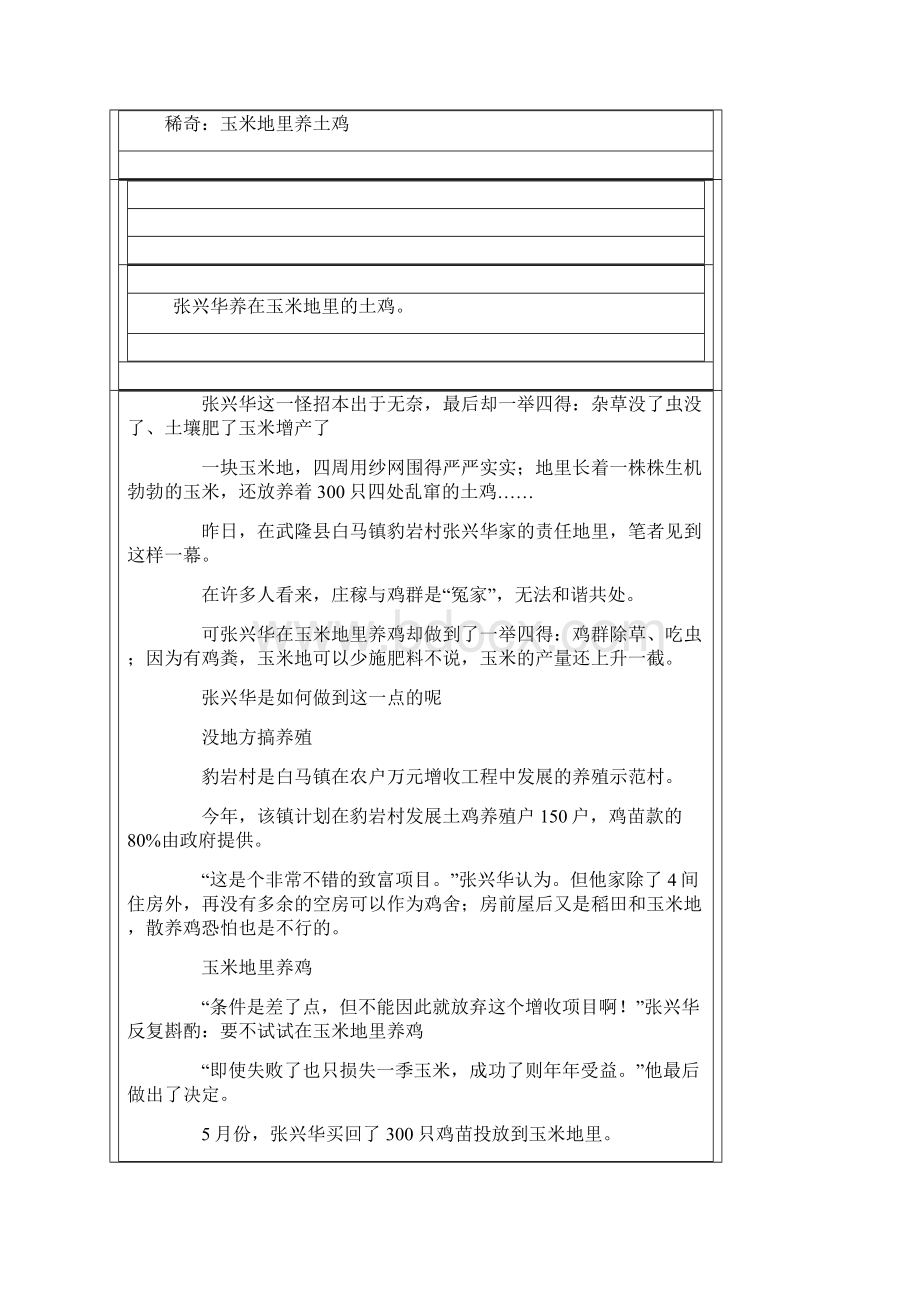 玉米地如何养鸡.docx_第2页