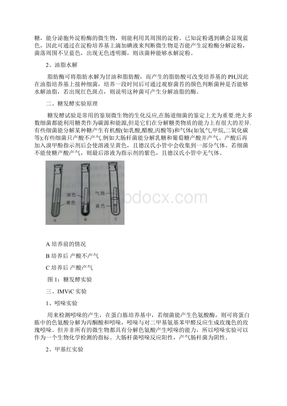 微生物生理生化实验.docx_第2页