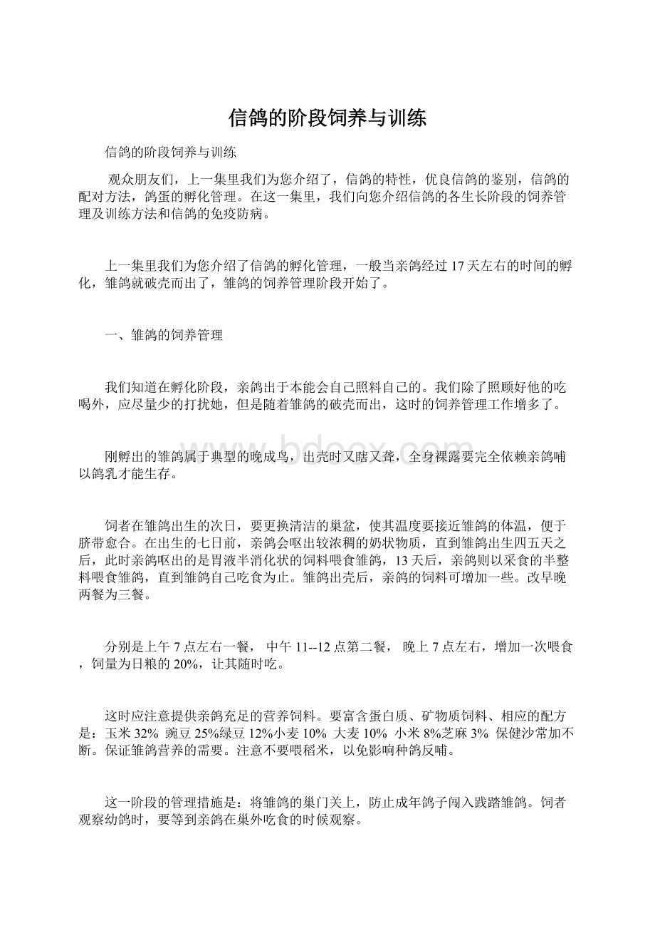 信鸽的阶段饲养与训练Word文档格式.docx_第1页