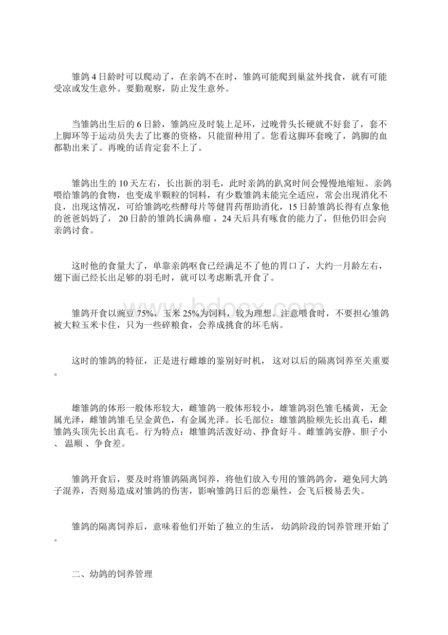 信鸽的阶段饲养与训练Word文档格式.docx_第2页