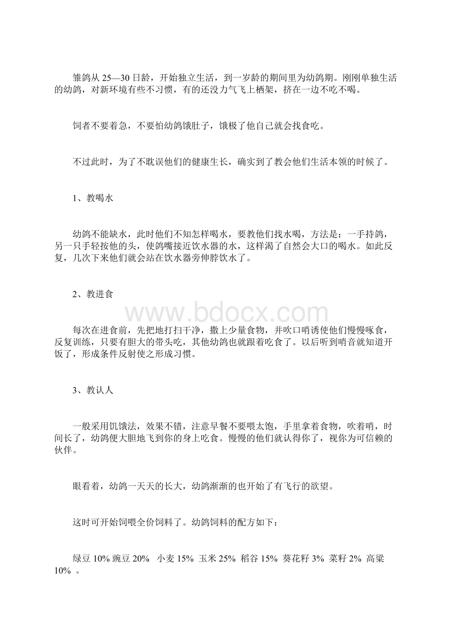 信鸽的阶段饲养与训练Word文档格式.docx_第3页