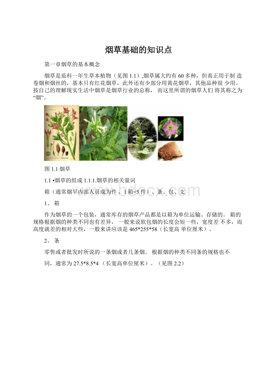 烟草基础的知识点.docx