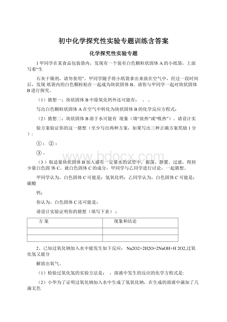 初中化学探究性实验专题训练含答案.docx