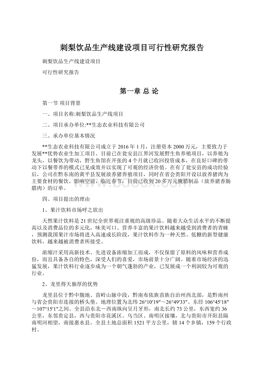 刺梨饮品生产线建设项目可行性研究报告.docx_第1页