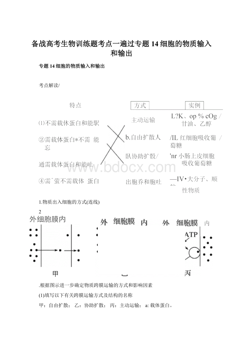 备战高考生物训练题考点一遍过专题14细胞的物质输入和输出.docx_第1页