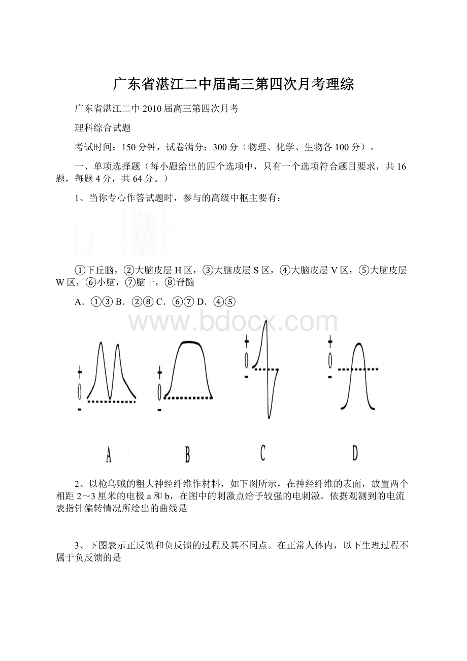 广东省湛江二中届高三第四次月考理综Word格式文档下载.docx_第1页