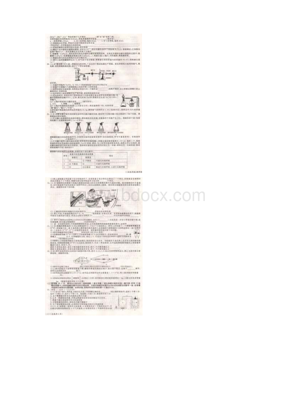 届湖南省高考冲刺卷理科综合一全国卷I扫描版Word文档格式.docx_第3页