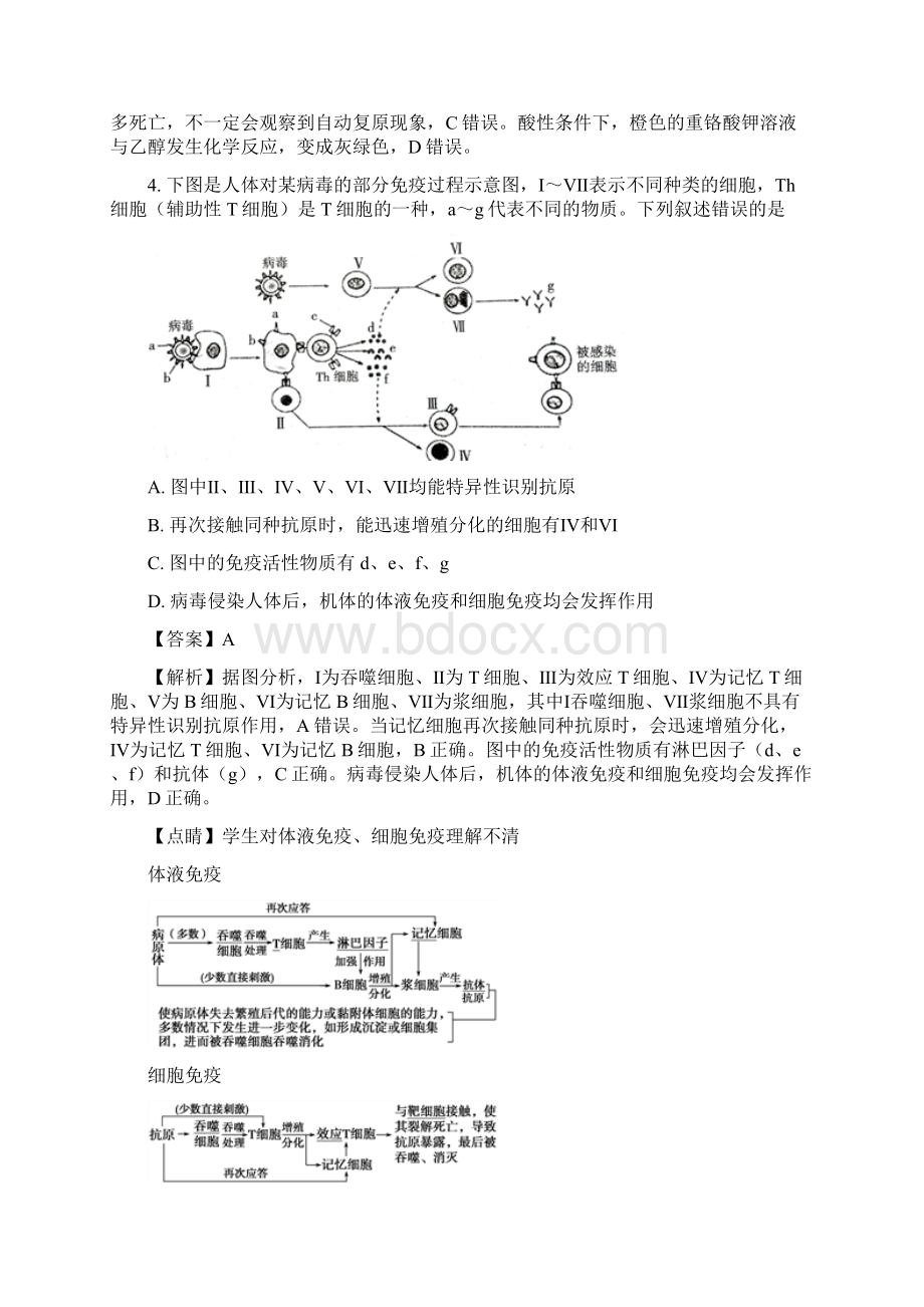 届河北省石家庄市高三下学期一模考试理科综合A卷生物试题解析版.docx_第3页