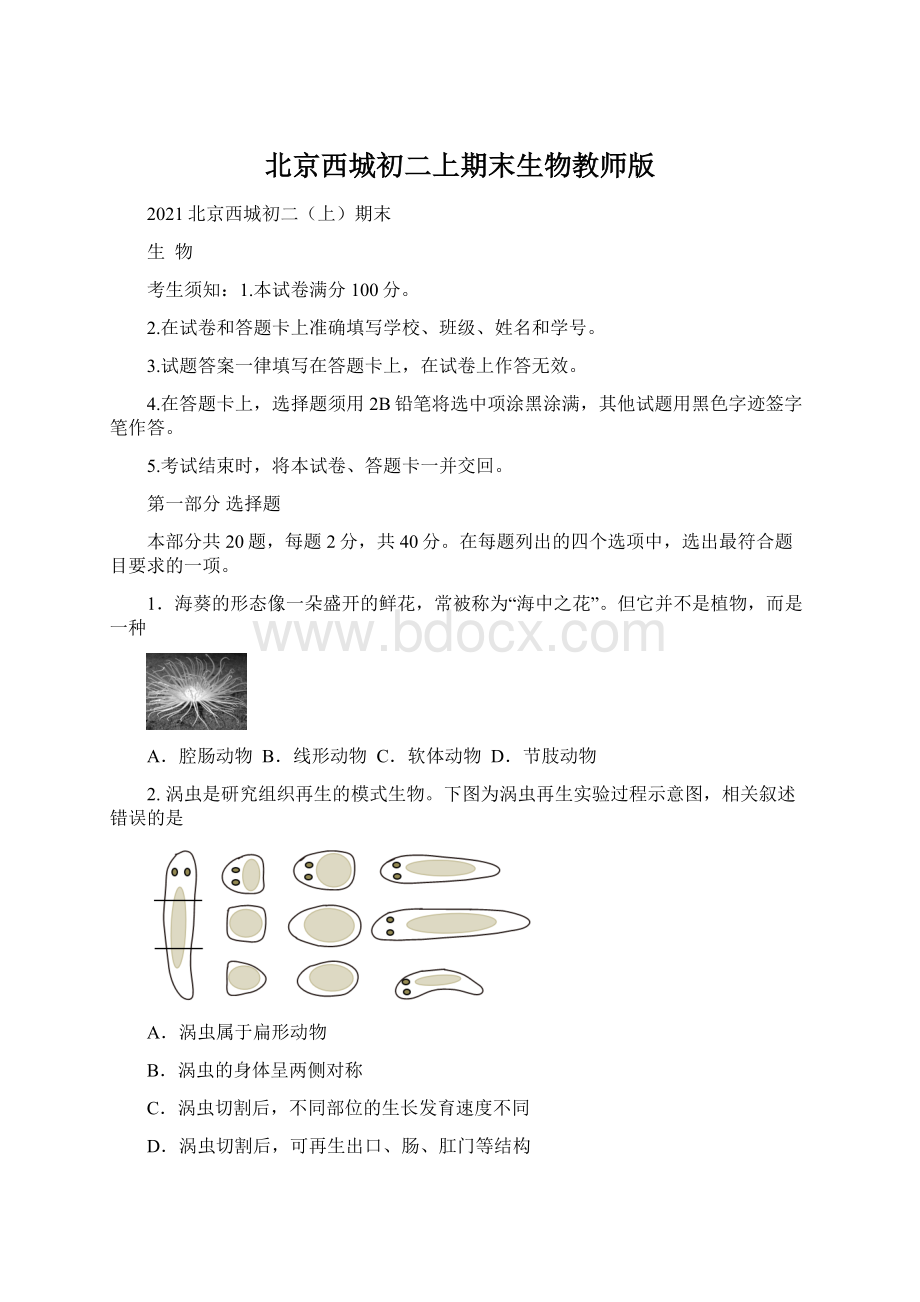 北京西城初二上期末生物教师版Word文档格式.docx