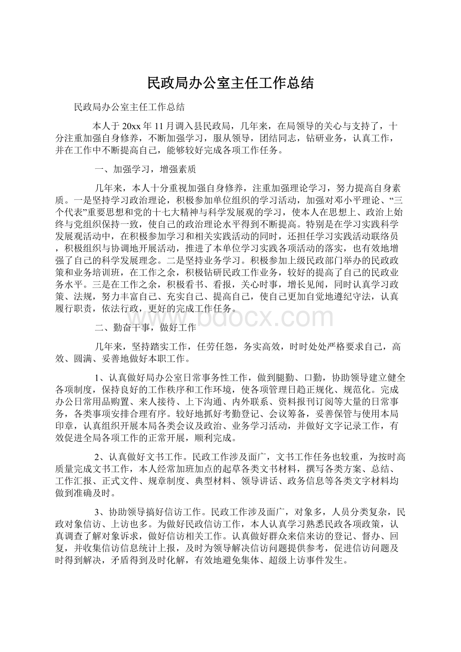 民政局办公室主任工作总结文档格式.docx