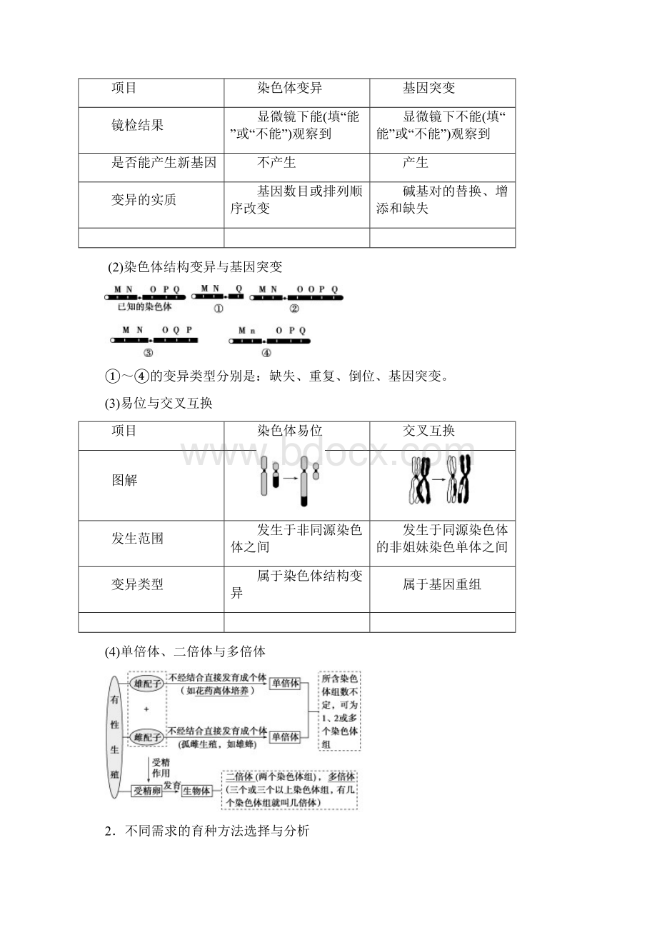 届高三生物二轮复习 专题突破四 第3讲 变异育种和进化强化训练.docx_第3页