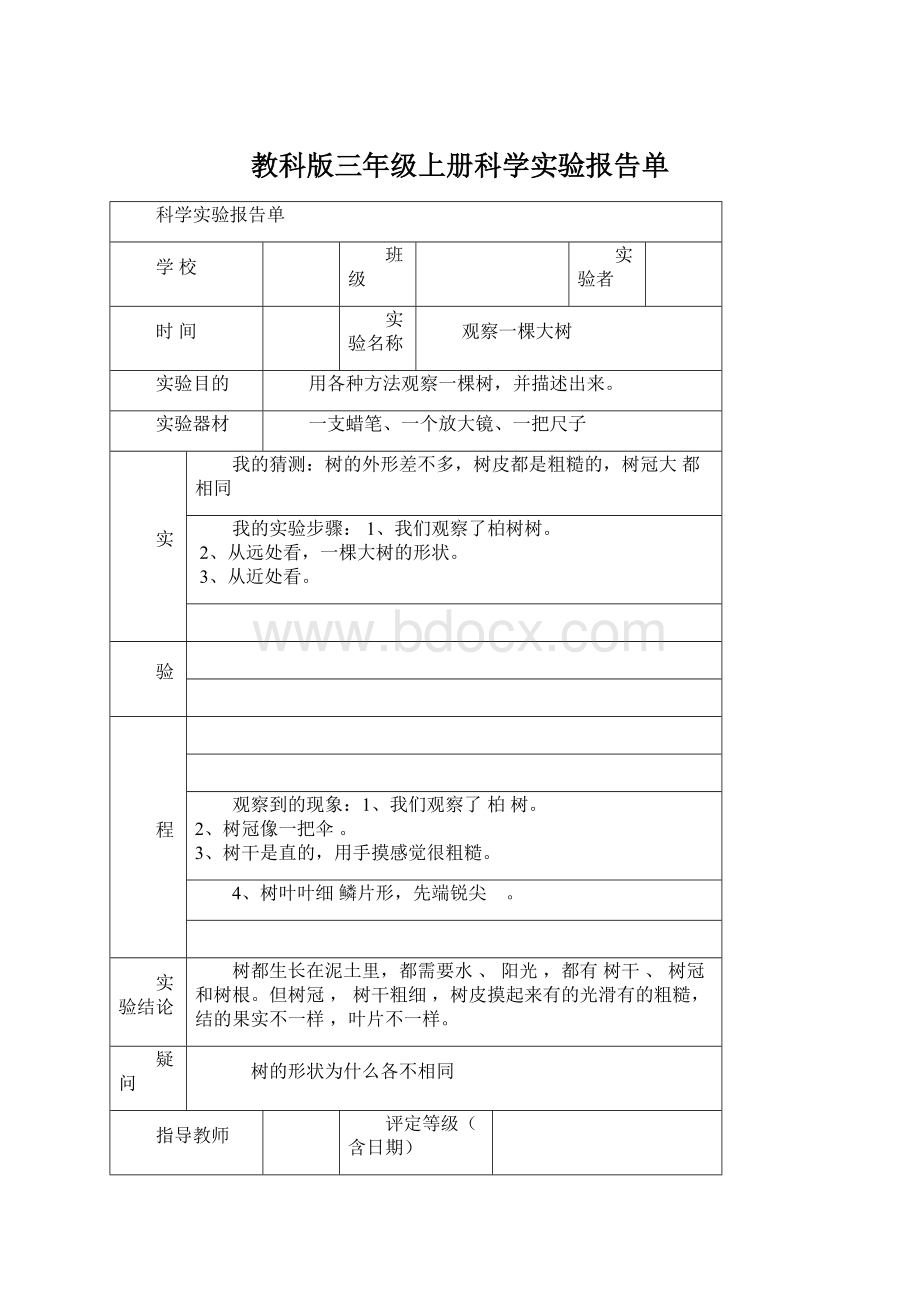 教科版三年级上册科学实验报告单Word文件下载.docx