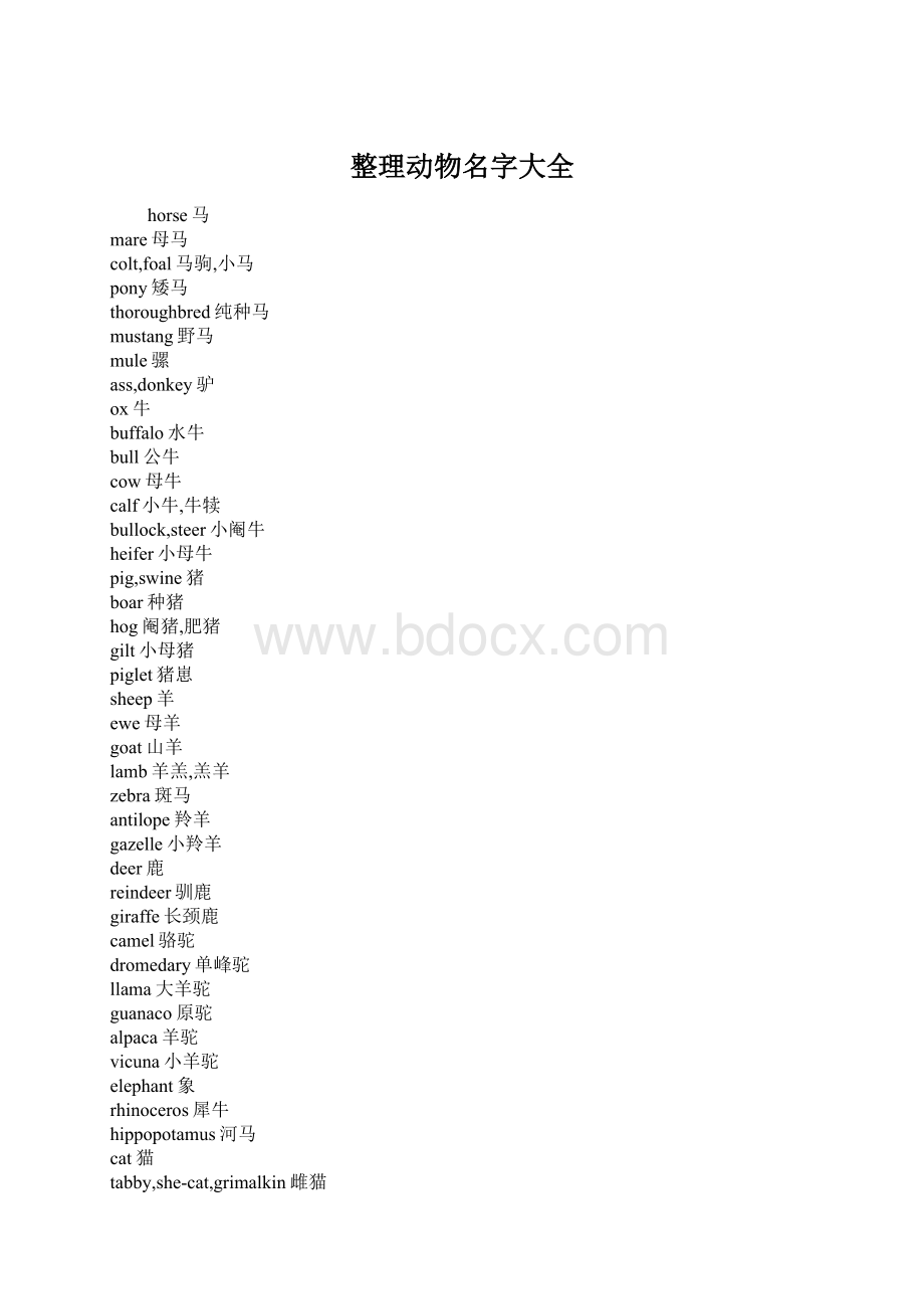 整理动物名字大全.docx_第1页