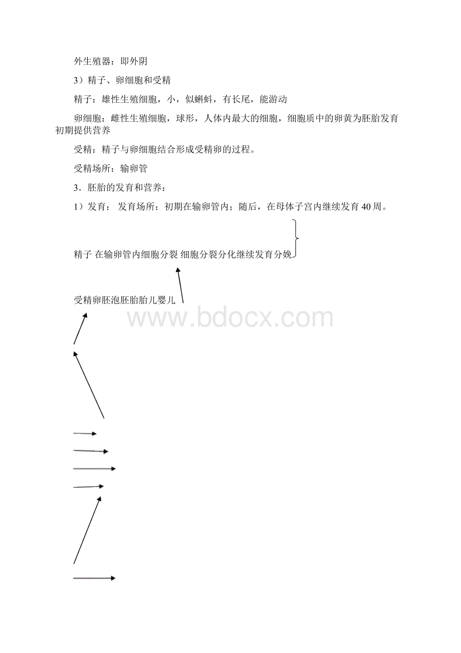 七下生物复习提纲.docx_第3页