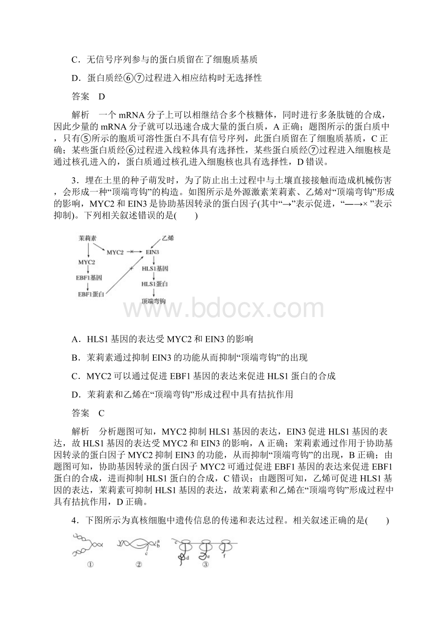 届二轮复习专题强化练 遗传的分子基础变异与进化 作业全国通用.docx_第2页