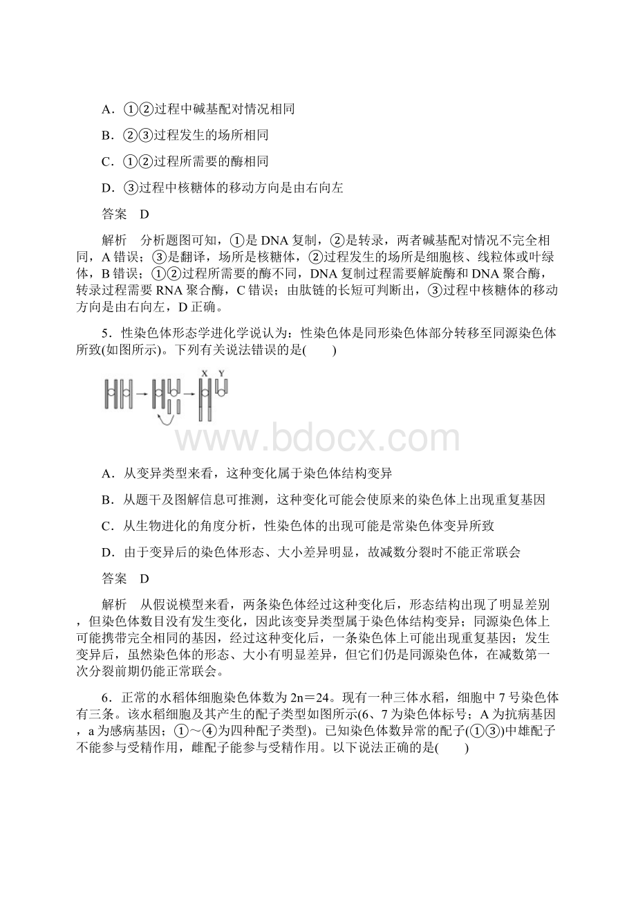 届二轮复习专题强化练 遗传的分子基础变异与进化 作业全国通用.docx_第3页