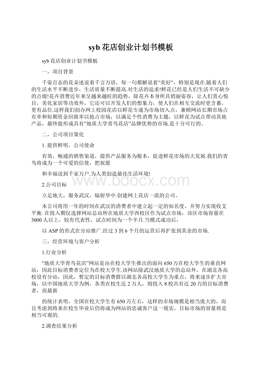 syb花店创业计划书模板Word文档下载推荐.docx