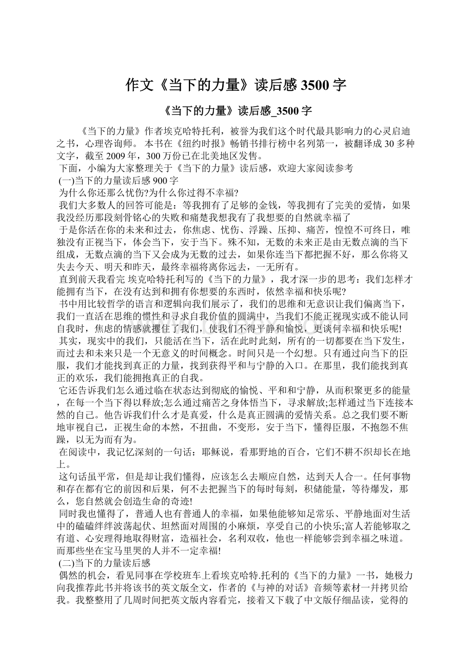 作文《当下的力量》读后感3500字Word格式文档下载.docx