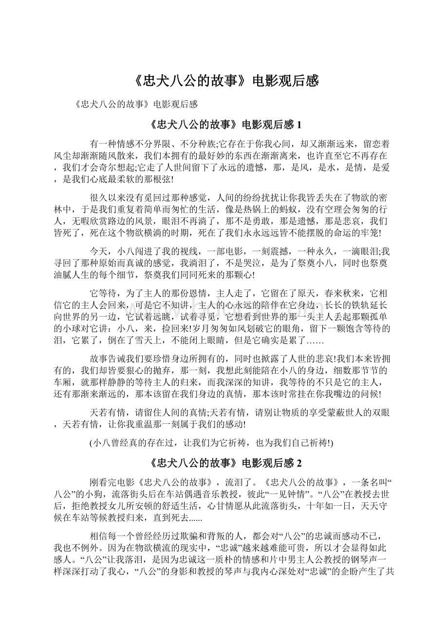 《忠犬八公的故事》电影观后感.docx