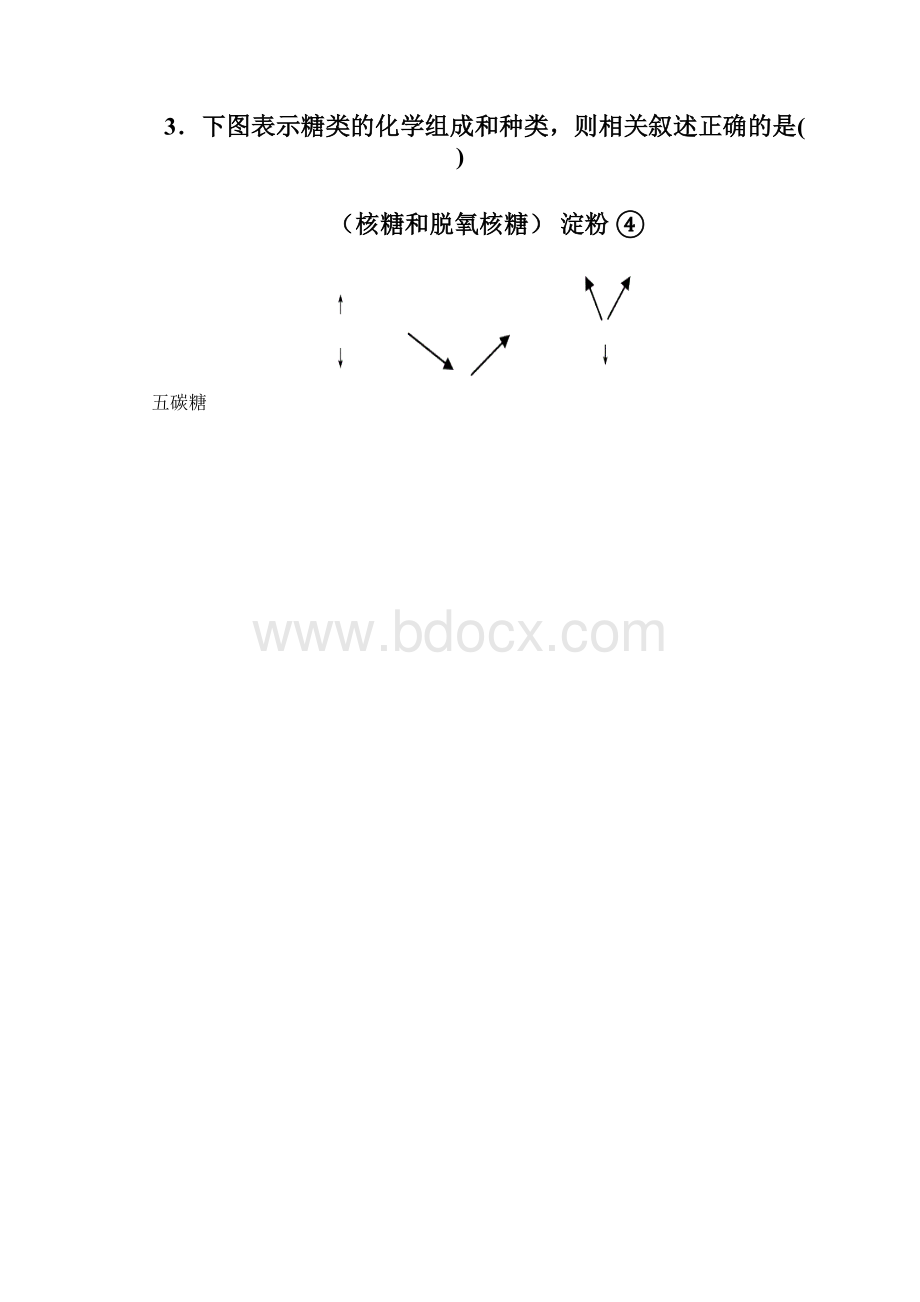 四川省射洪县学年高一上学期期末考试实验小班加试理科综合试题.docx_第3页