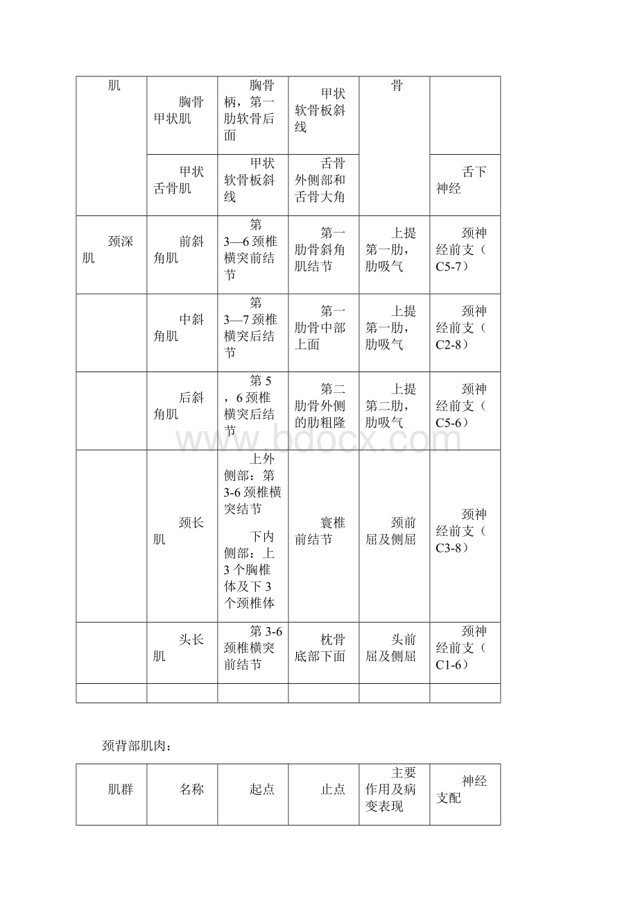 肌肉解剖资料汇总Word文件下载.docx_第2页