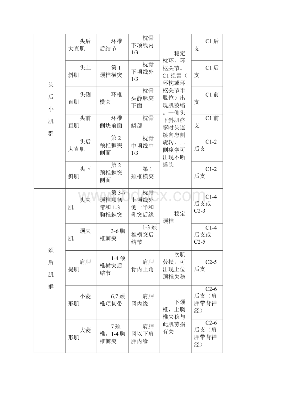 肌肉解剖资料汇总Word文件下载.docx_第3页