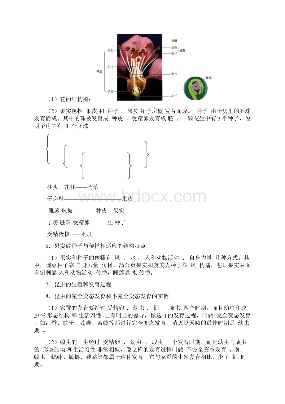 八年级生物下册中考复习知识点苏教版文档格式.docx_第2页