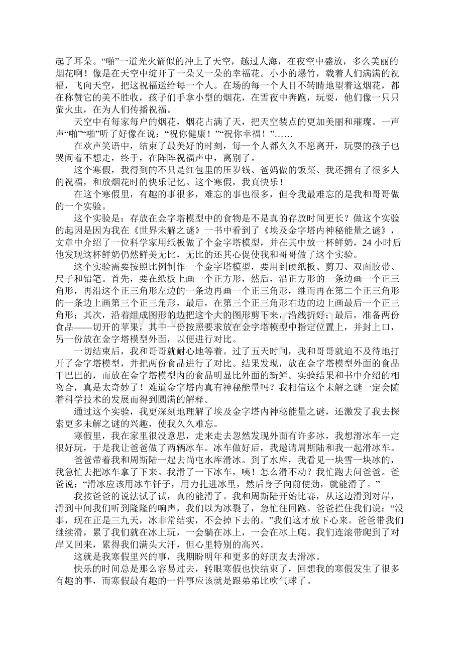 年初中生寒假作文范文精选文档格式.docx_第2页