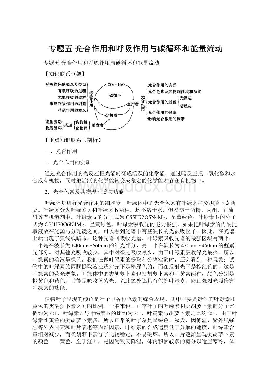 专题五 光合作用和呼吸作用与碳循环和能量流动Word下载.docx_第1页